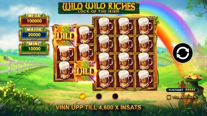 wild wild riches spelfunktioner